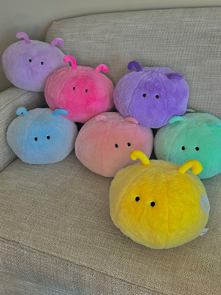 Regular Floofs